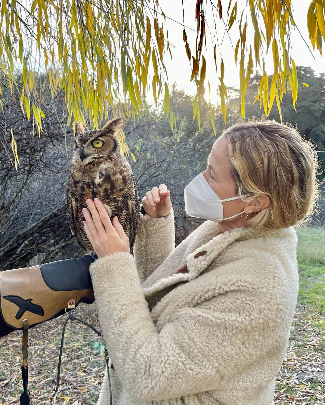 キャロリン・マーフィーさんのインスタグラム写真 - (キャロリン・マーフィーInstagram)「Spending time with these beautiful raptors. Some of these birds of prey have been rescued from dangerous situations, injured or were already bred in captivity.  Falconry has been practiced for nearly 4,000 years- most modern day falconers are deeply involved in the effort to restore endangered raptor species, and conservation efforts to protect birds and their natural habitats. Here I am with Ariel, a Harris Hawk. Also pictured, a Great Horned Owl, Saw Whet Owl, Merlin Falcon and Peregrine Falcon (fastest bird of prey on earth) 🧝🏻‍♀️」1月2日 11時18分 - carolynmurphy