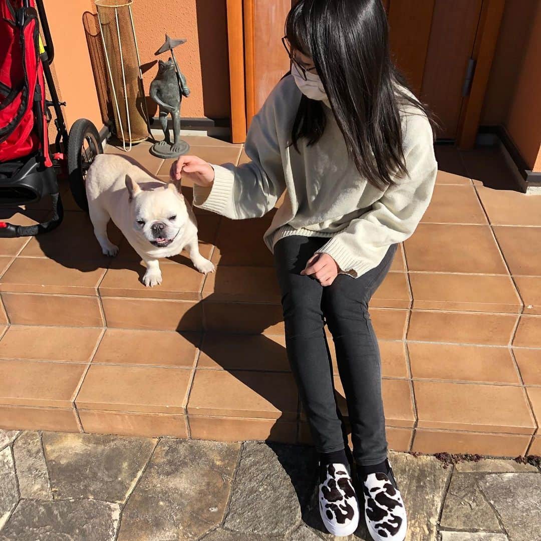 タニム（マーブル母）のインスタグラム：「* あけまして おめでとう ございます 今年もマイペースなマーブル家を よろしくお願いします🐷❤️ * #姉高校2年生妹8歳 #姉妹写真 #私のアモーレ👩🏻🐷❤️  #2021お正月  #最近はカートでお散歩 #常に箱乗り #ヤンキーまーちゃん」
