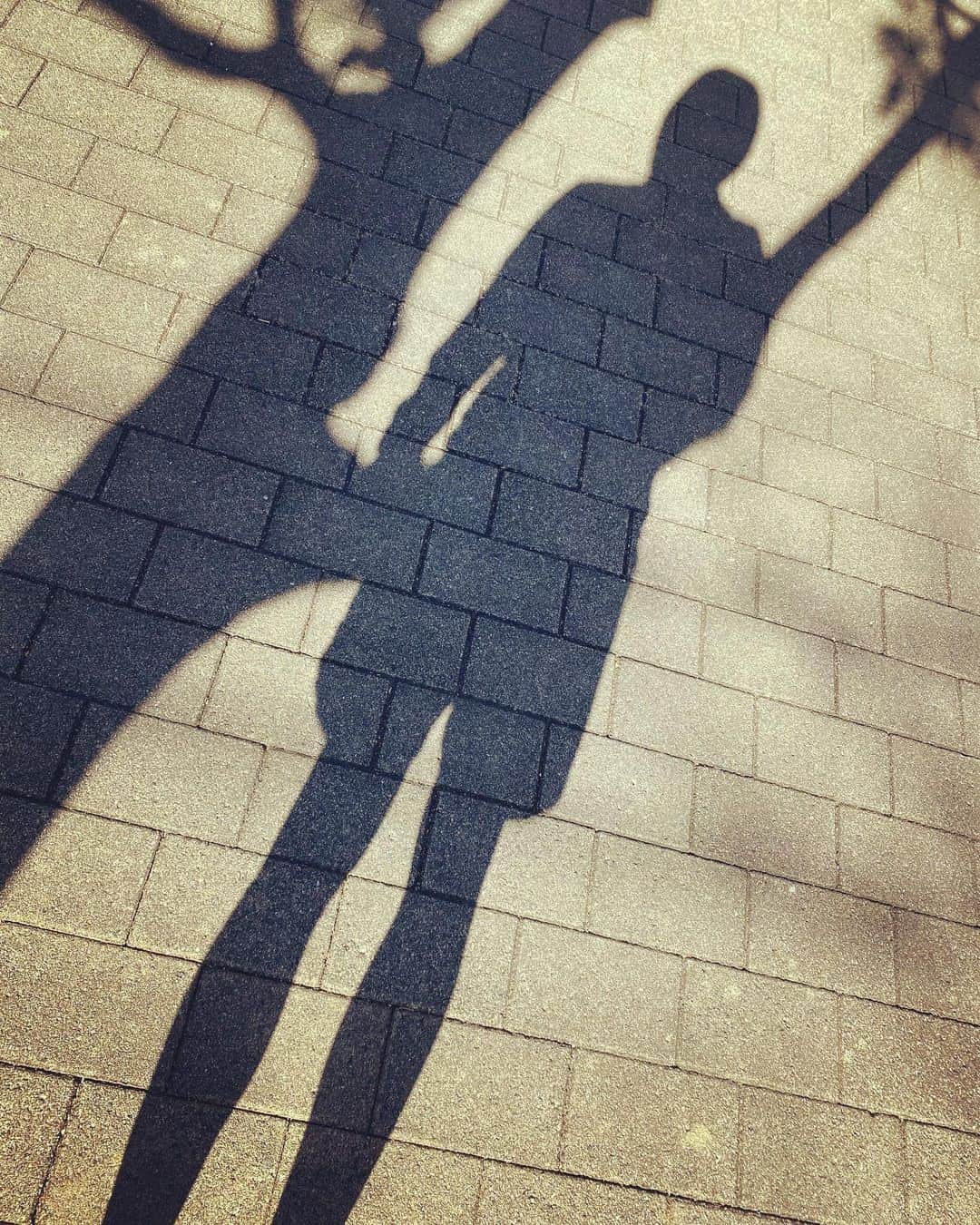 浅田信一のインスタグラム：「駅伝につられてランニング。 今日も5.5K。冬の光と影。」