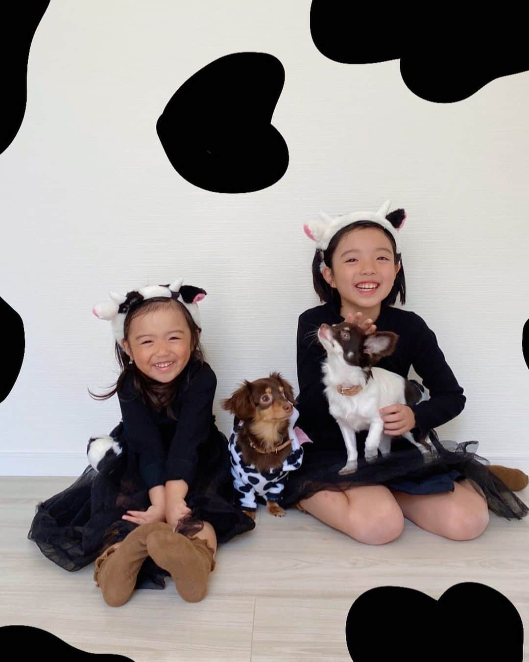 のインスタグラム：「. 2021 明けましておめでとうございます🌅 新しい一年も皆さまにたくさんの幸せが訪れますように。 . 🐄🤍」