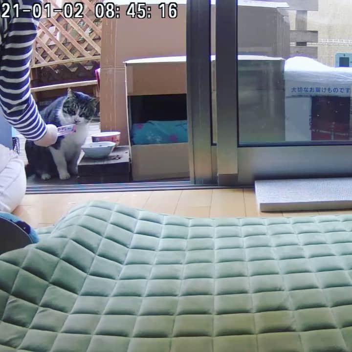 ゆたこのインスタグラム