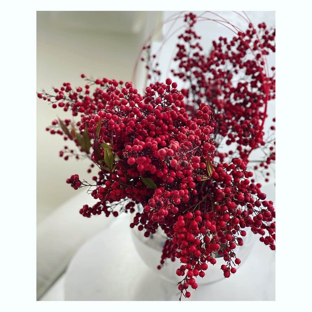 望月理恵さんのインスタグラム写真 - (望月理恵Instagram)「南天の花束❣️ 燃えるような赤で、 リビングが華やかです〜」1月2日 12時04分 - mochiee28