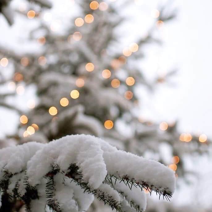 南美沙さんのインスタグラム写真 - (南美沙Instagram)「Beautiful snow scene ❄️」1月2日 22時21分 - miee.misa