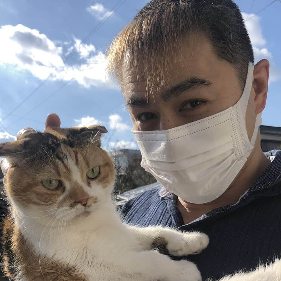 TAKAみちのくさんのインスタグラム写真 - (TAKAみちのくInstagram)「久しぶりのにゃん太  #777と書いてナナミ   #猫  #猫バカ  #愛猫  #ななみ」1月2日 22時26分 - takam69