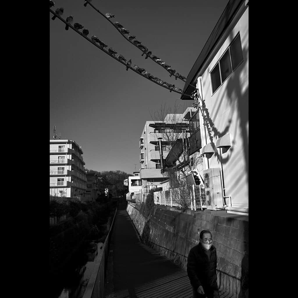 Tatsuo Suzukiさんのインスタグラム写真 - (Tatsuo SuzukiInstagram)「Neighborhood」1月2日 22時34分 - tatsuo_suzuki_001
