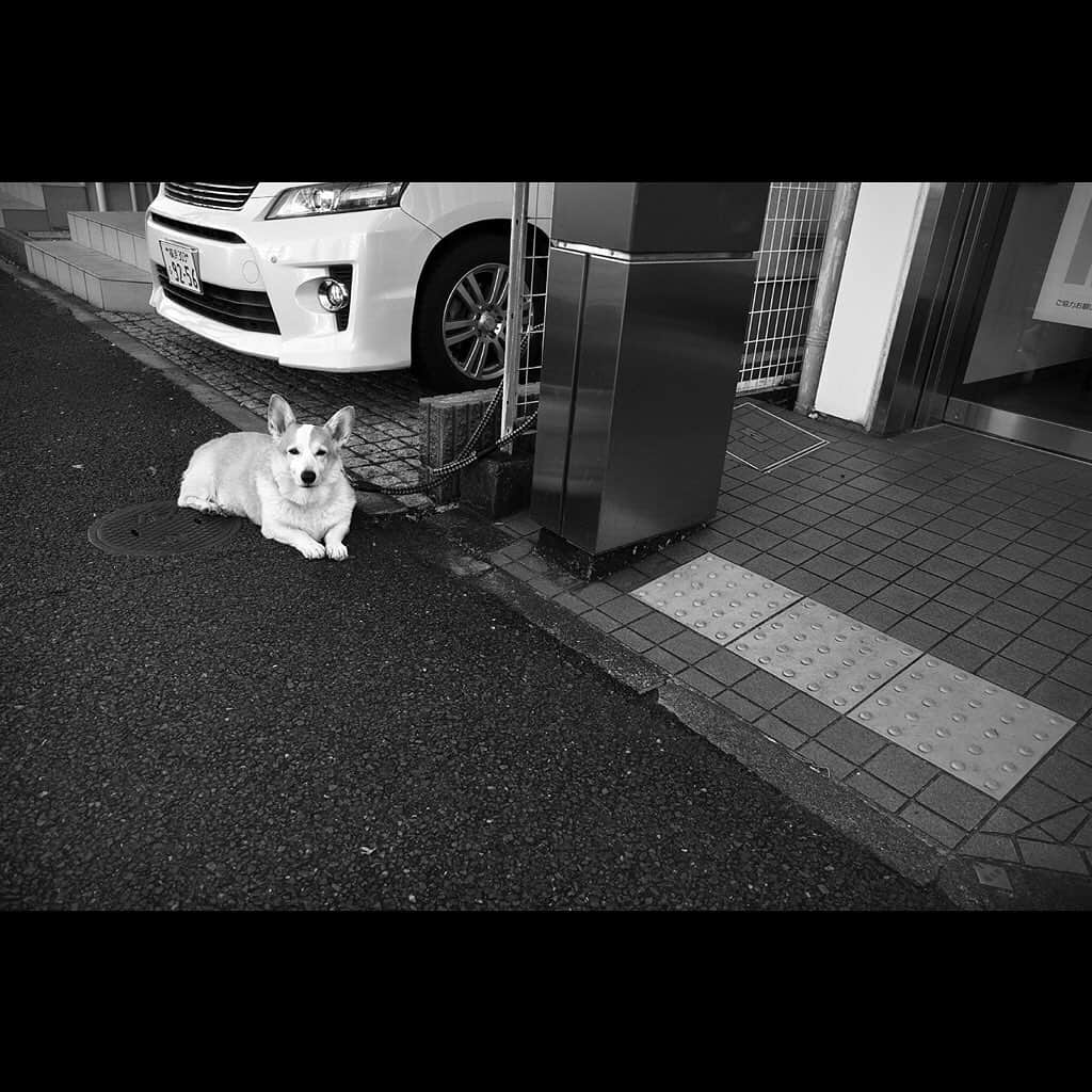 Tatsuo Suzukiさんのインスタグラム写真 - (Tatsuo SuzukiInstagram)「Neighborhood」1月2日 22時34分 - tatsuo_suzuki_001