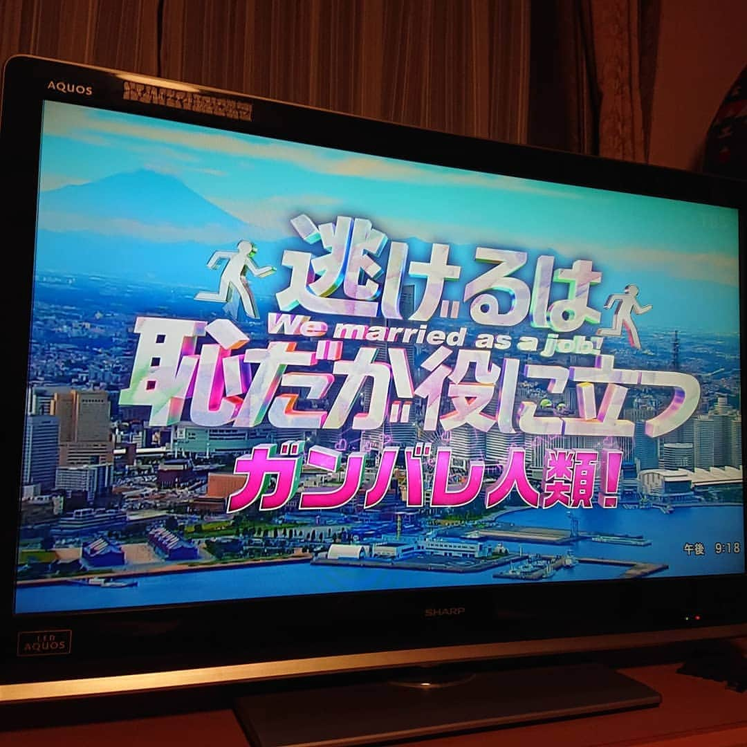 くるみんさんのインスタグラム写真 - (くるみんInstagram)「* 待ちに待った逃げ恥～💓 見てます！楽しすぎる‼️ 届けを出した役所が、うちの区の役所だった！  #逃げ恥 #逃げ恥新春スペシャル #逃げるは恥だが役に立つ #新垣結衣 #星野源 #森山みくり #津崎平匡 #津崎みくり #石田ゆり子 #古田新太 #藤井隆 #大谷亮平」1月2日 22時34分 - michirumugiazu