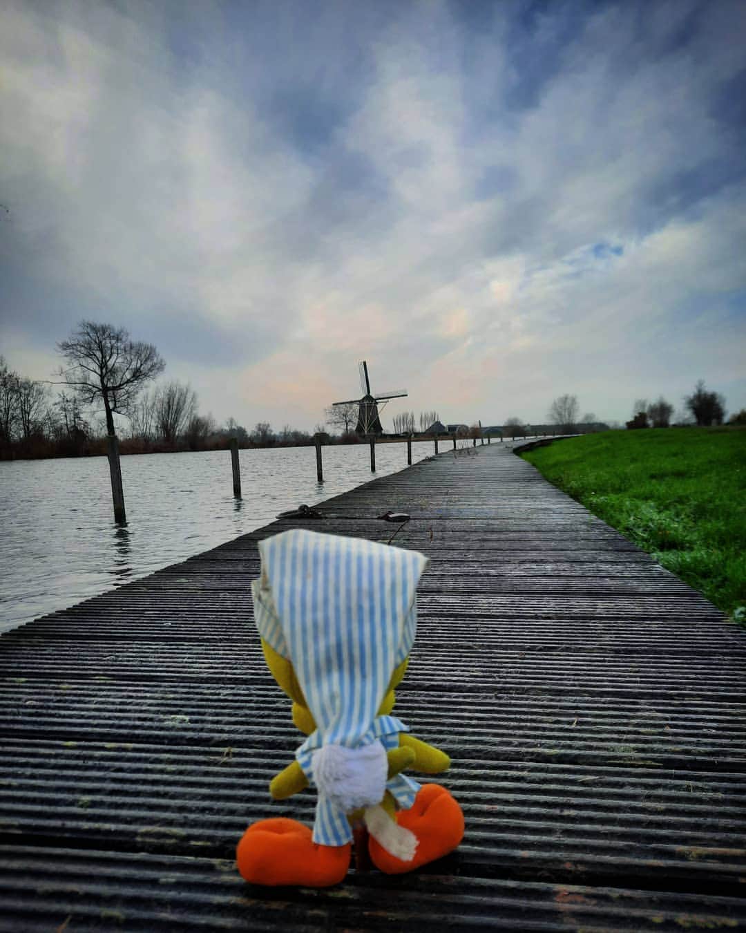 Little Yellow Birdさんのインスタグラム写真 - (Little Yellow BirdInstagram)「Walking into 2021 like a boss! #littleyellowbird #tweety #tweetykweelapis #adventures #yellow #bird #weekend #saturday #nederhorstdenberg #vecht #river #molen #mill #dutch #january #2021 #newyear #likeaboss #stuffedanimalsofinstagram #plushiesofinstagram」1月2日 23時09分 - tweetykweelapis