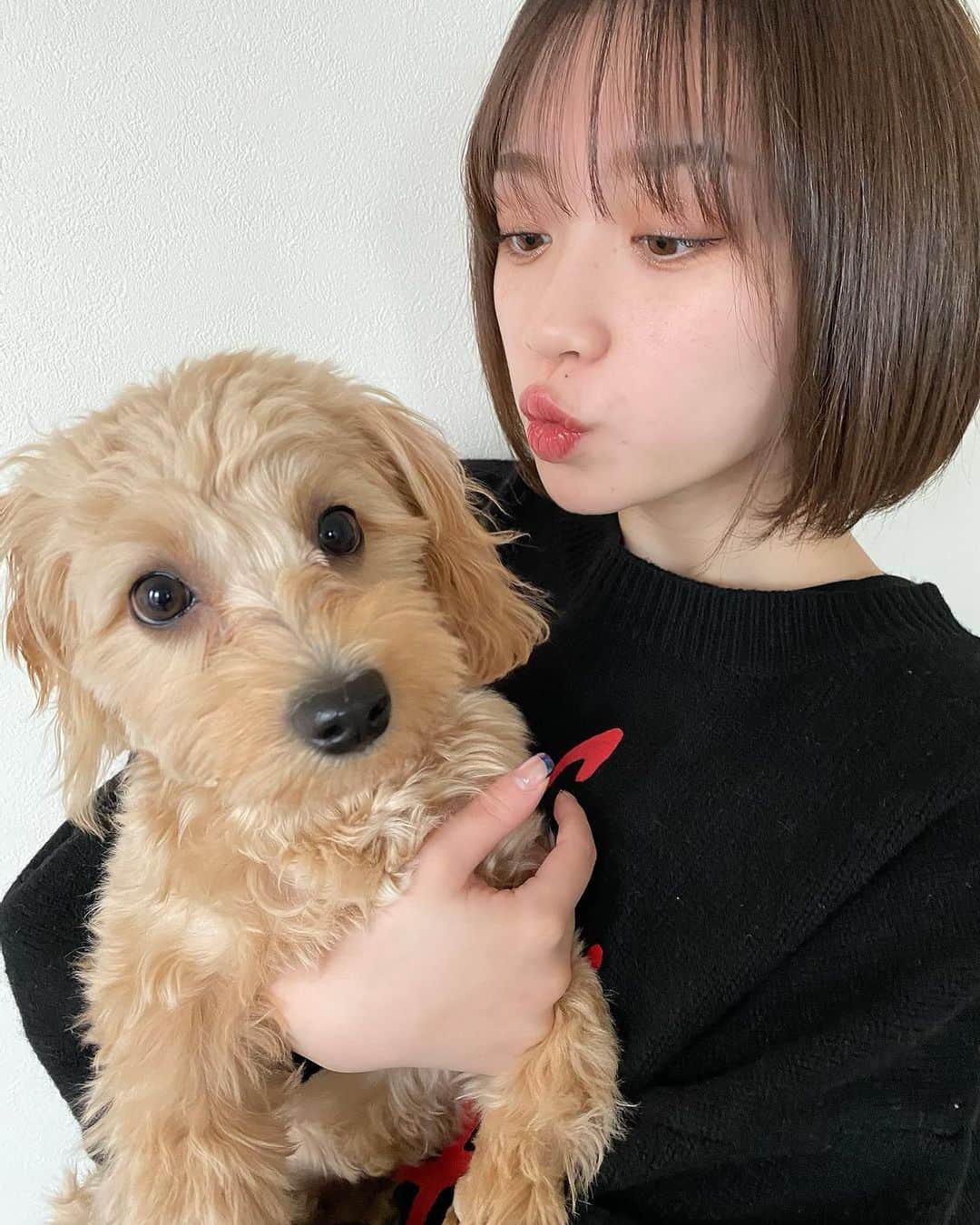 吉田凜音のインスタグラム：「あけましておめでとうございます 2021年もよろしくお願いします」