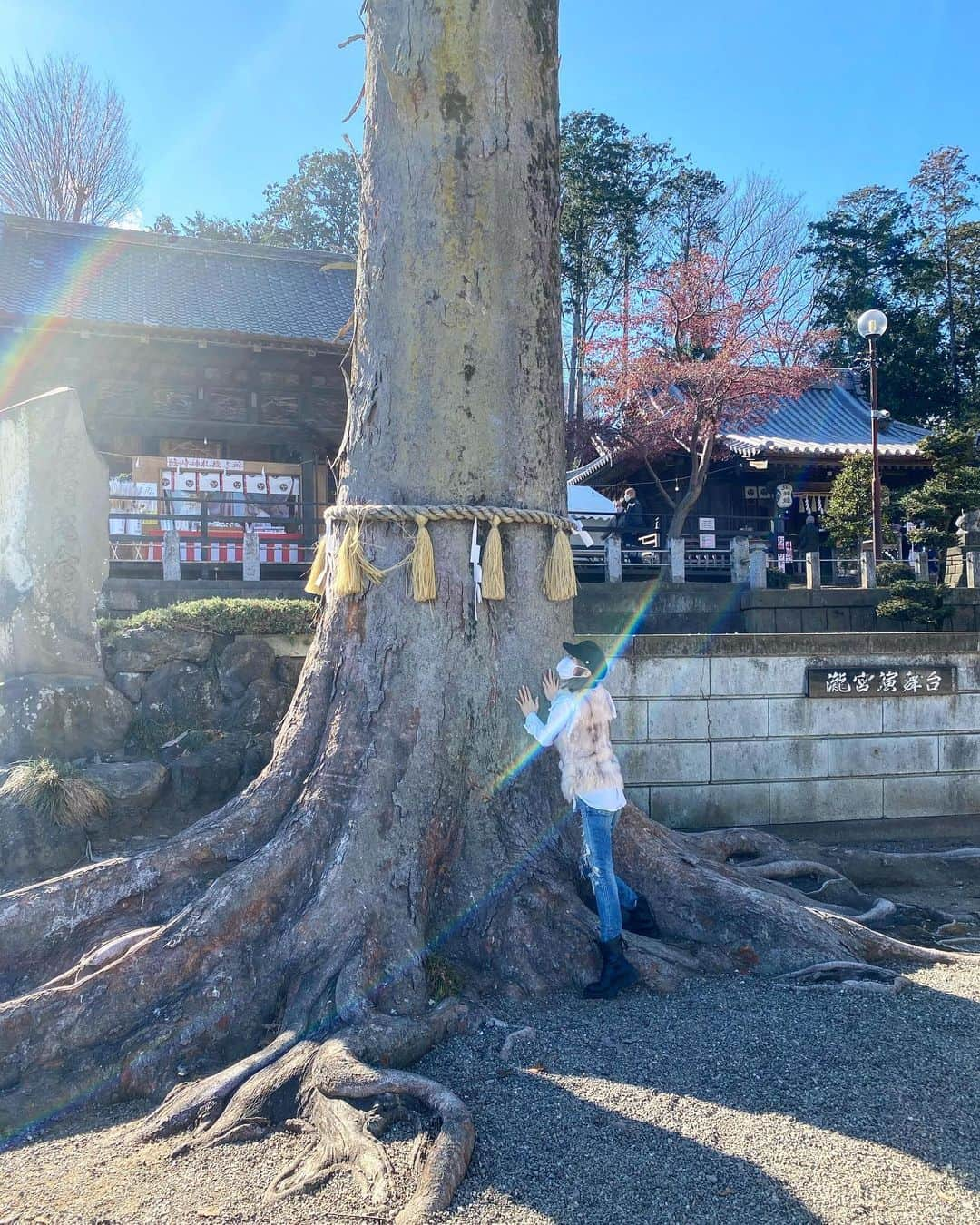 三宿菜々さんのインスタグラム写真 - (三宿菜々Instagram)「家族で初詣⛩ おみくじは大吉でしたっ！！！  ご神木からパワーを お裾分けして頂きました🙏 今年も最強🔥  #ご神木 #大木 #初詣 #パワースポット #大吉 #待人、さわりあり来らず #商売、買うのは損控えよ #恋愛、将来幸福になる #病気、神人すれば治る #縁談、他人の口舌に惑わされるな #圧倒的に内容が小吉」1月2日 15時32分 - mishuku_nana