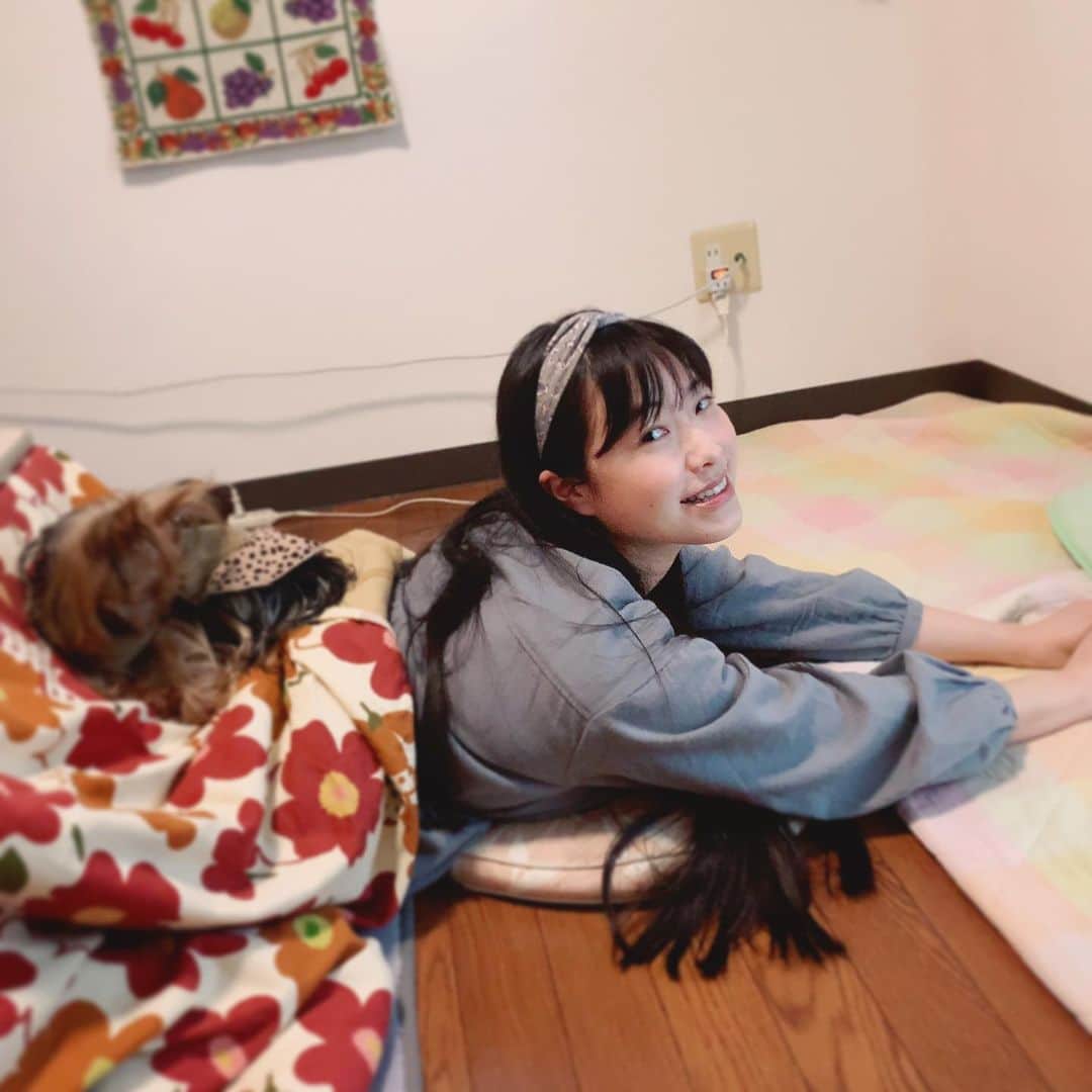 小田飛鳥さんのインスタグラム写真 - (小田飛鳥Instagram)「都内の実家に帰って来ました♪ #ゴロゴロ #犬のいる暮らし #コタツムリ」1月2日 15時57分 - asuka_oda_0320