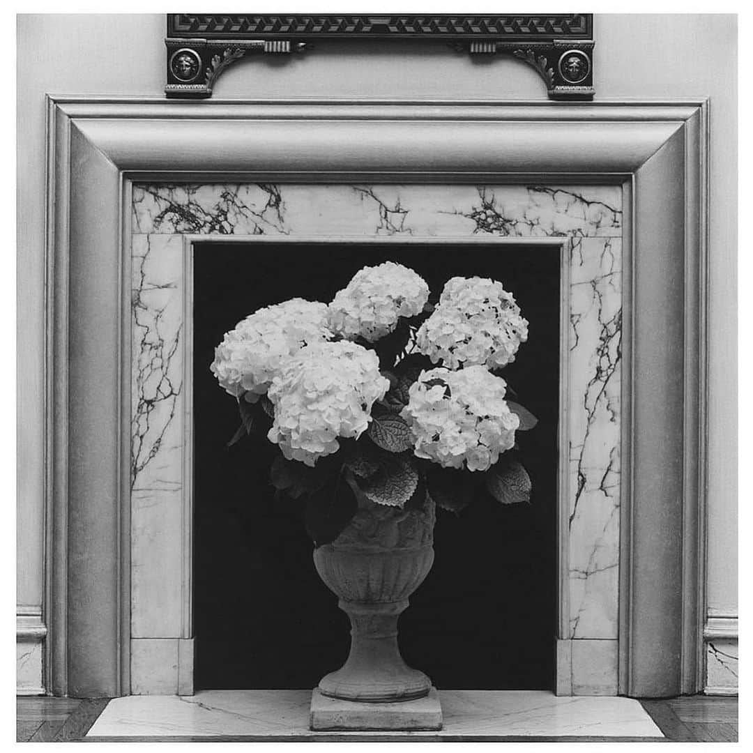 クリスヴァンアッシュさんのインスタグラム写真 - (クリスヴァンアッシュInstagram)「WHITE FLOWERS SIGNIFY A NEW START, THEY SAY. JAN 2nd.  Fireplace with flowers, Robert Mapplethorpe. 1986.  #robertmapplethorpe #mapplethorpe #krisvanassche」1月2日 16時36分 - kris_van_assche