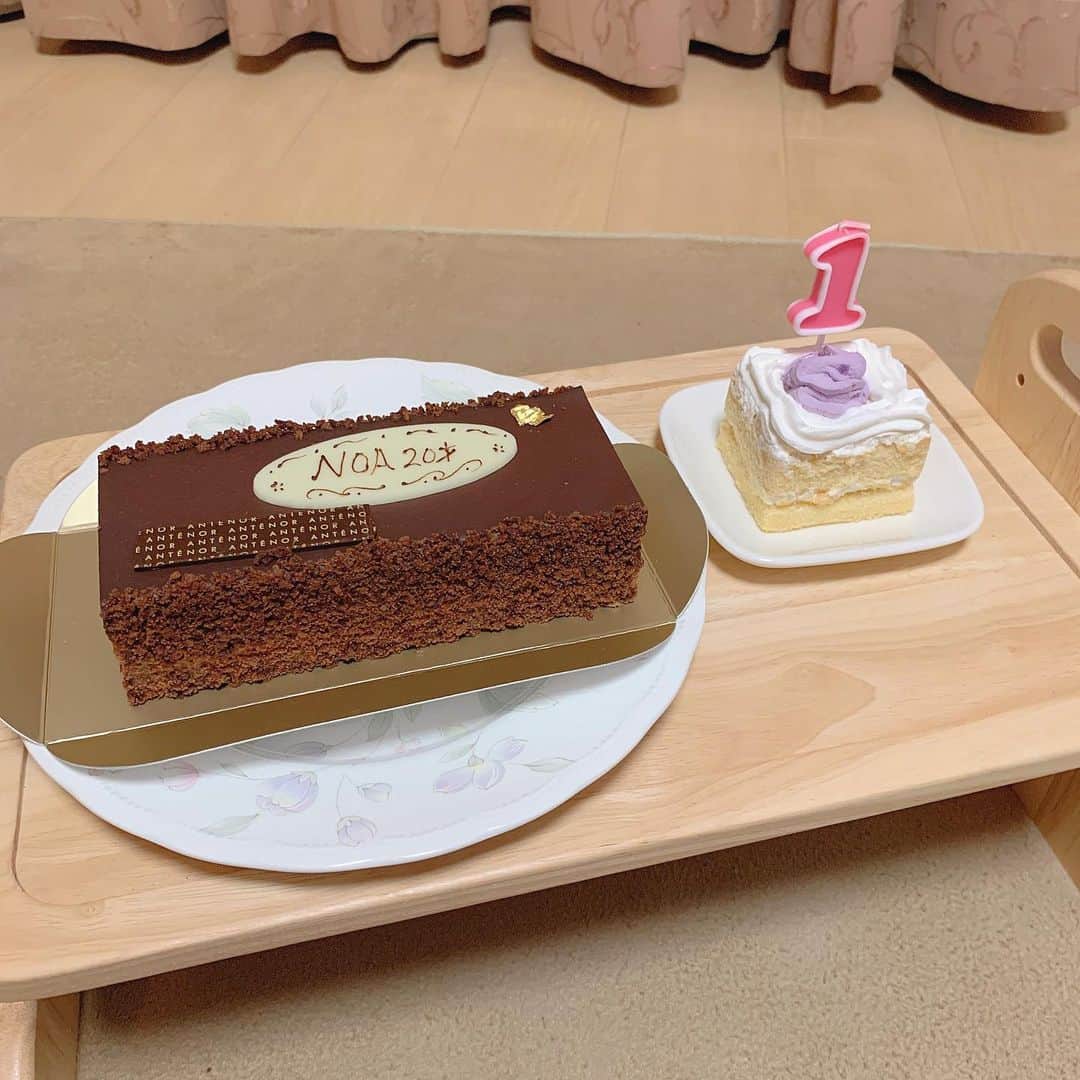 佐久間乃愛さんのインスタグラム写真 - (佐久間乃愛Instagram)「. シュガーと乃愛のハッピーバースデーしたよ🎂🎉 しゅーたん初めてのケーキ、お口にいっぱいにクリームつけながら美味しそうに食べてた🐶💓 乃愛のチョコケーキも美味しかったよん💗  #お誕生日ケーキ #おめでとう」1月2日 17時40分 - noa_sakuma