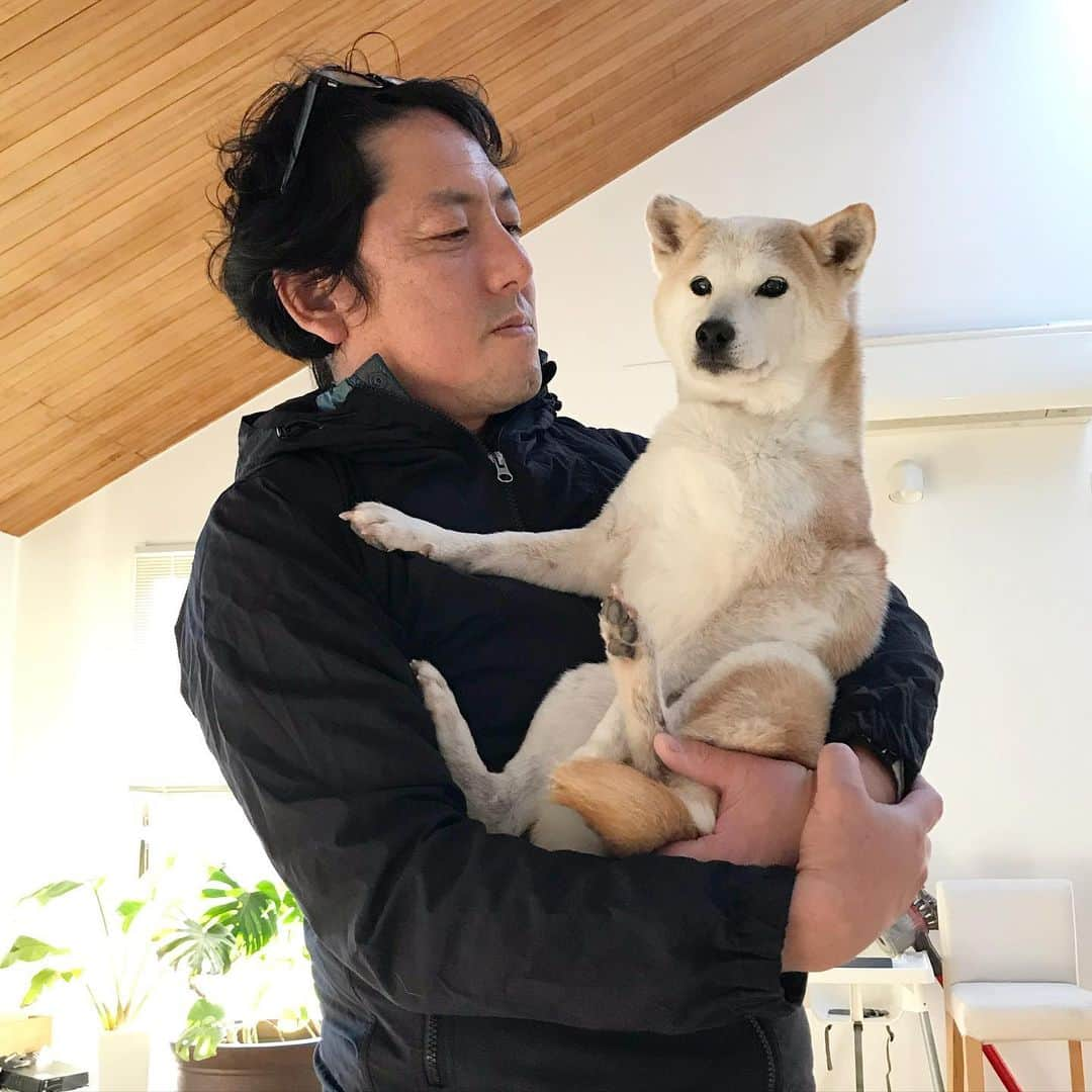 柴犬リリコのインスタグラム