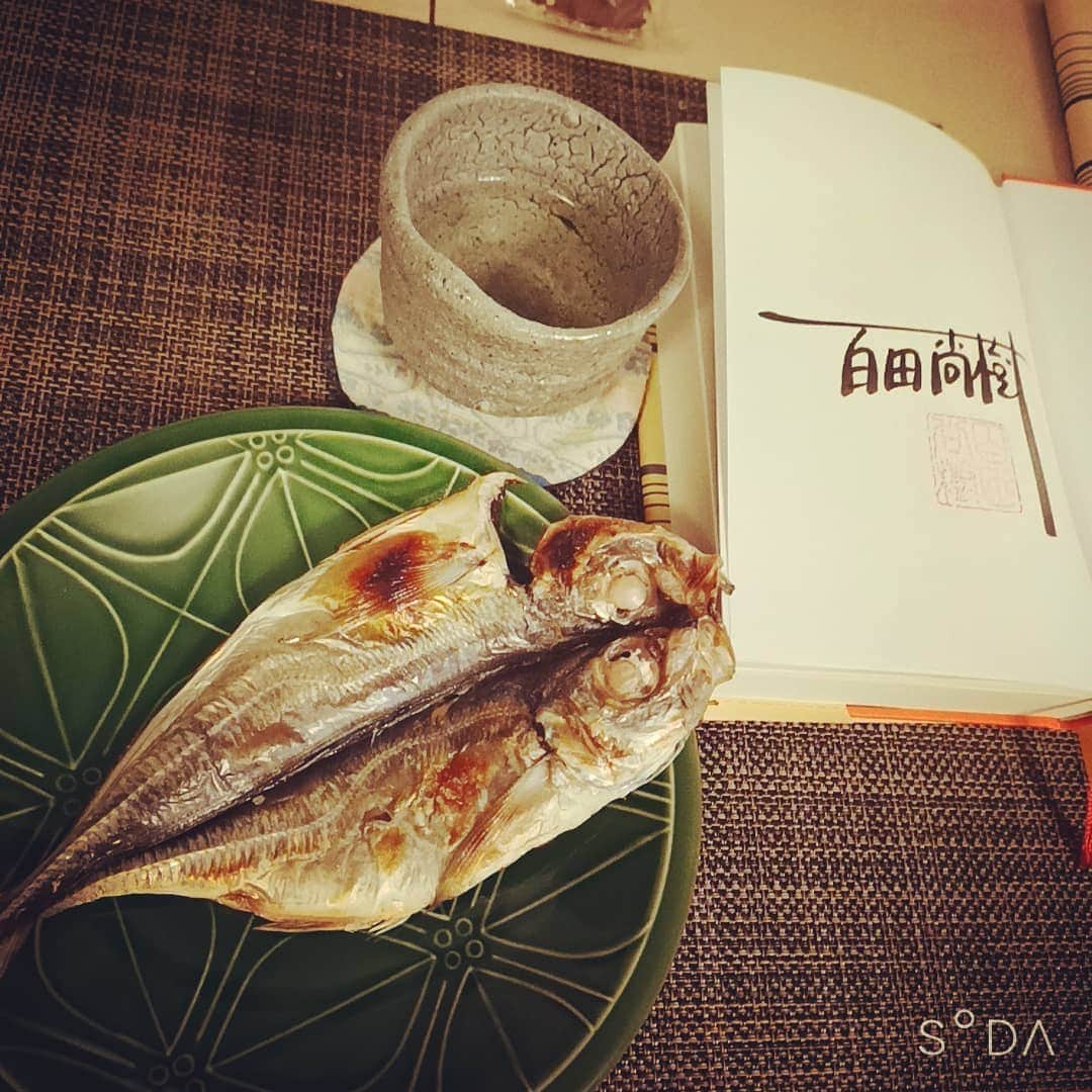 松本隆博のインスタグラム：「。 さっき18時にAmazon荷物きた、 そこで初めて気付く。 今日初めて人と喋った(˙◁˙)…  魚焼いて、お気に入りの 焼き物ぐい呑みで日本酒。 そして 百田尚樹さんの サイン入り書籍ゲット！！ ｢野良犬の値段｣。読み進んで しまう、酒も呑み進んでしまう。  漆黒の暗さ、時々雪が枝から 落ちる音、時に野鳥の声。 自然に溶け込む僕。  ええ正月や～(^○^)  すまん 電話はずっと電源切ってる んだ(*Ü*)  ええ正月やー 明日までやけどな。  ～人生遊歩道～」