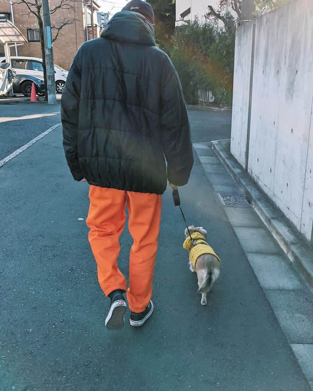 Shiho Sasakiのインスタグラム：「あけましておめでとうございます🎍 正月は思いの外ゆっくり過ごして お家で家族の時間を楽しみました🍶 ジャスミンも防寒ばっちりで 2021年初散歩🐾🐤 #正月」