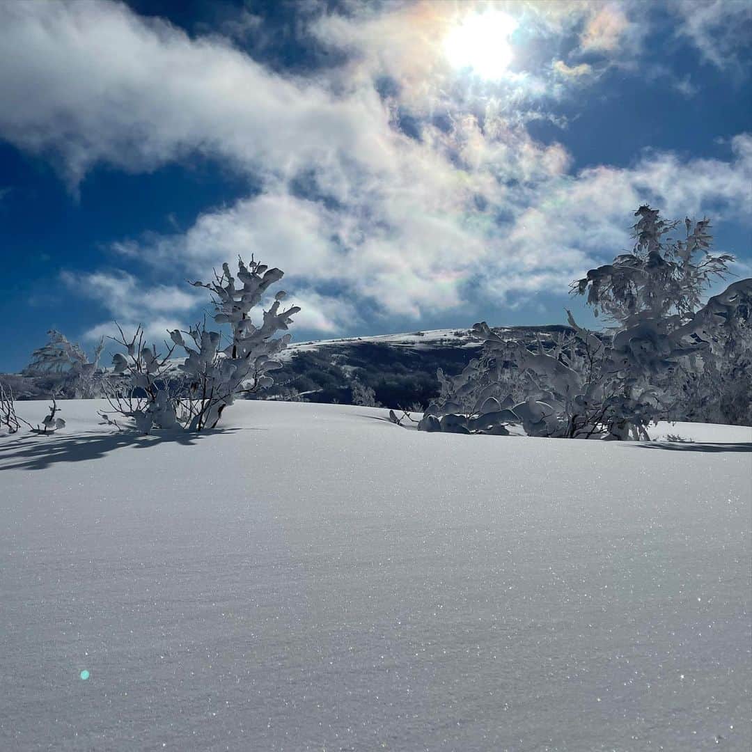 宇佐美進典さんのインスタグラム写真 - (宇佐美進典Instagram)「年末年始は北海道にてスキー三昧。ずっと吹雪いていたけれど奇跡的に今日は晴天で絶好のスキー日和！　#スキー #キロロ #北海道」1月2日 18時25分 - usapon
