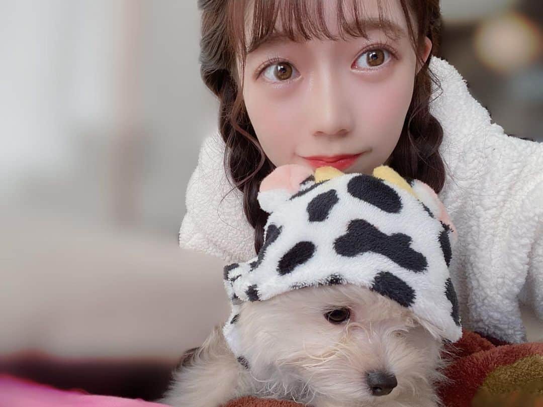 柏元萌華のインスタグラム：「2021🐮 HAPPY NEW YEAR🌟 今年もよろしくお願いします！  牛ティアと🐶笑  🔔18時30分からインスタライブします〜！挨拶させてね〜！」