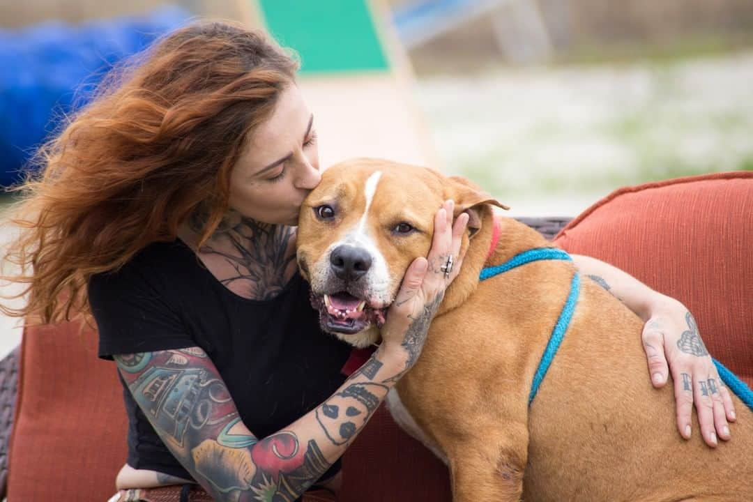 アニマルプラネットさんのインスタグラム写真 - (アニマルプラネットInstagram)「200 episodes of #pitbullsandparolees doesn't begin to account for all the dogs Tia Torres and @villalobosrescuecenterofficial have rescued over the years. Tonight, we celebrate the show's new season with a special 200th episode celebration, beginning later at 9p. . . . . #pitbullsandparolees #animalplanet #tiatorres #villalobos #villalobosrescuecenter #pitbulls #rescuedog #animalrescue #dogrescue #mariahharmony #taniatorres #pictureoftheday #photosoftheday #200thepisode」1月3日 0時00分 - animalplanet