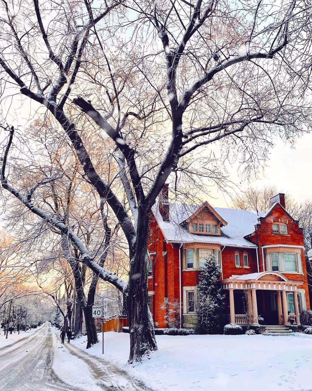 kaelのインスタグラム：「Another lovely winter morning」
