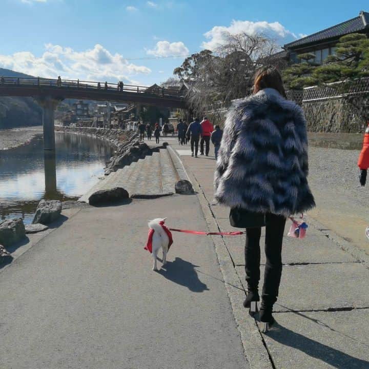 脇田恵子のインスタグラム：「今年も🐶うちのぷりぷりちゃんもよろしくお願いしますっ #おもちと脇田」