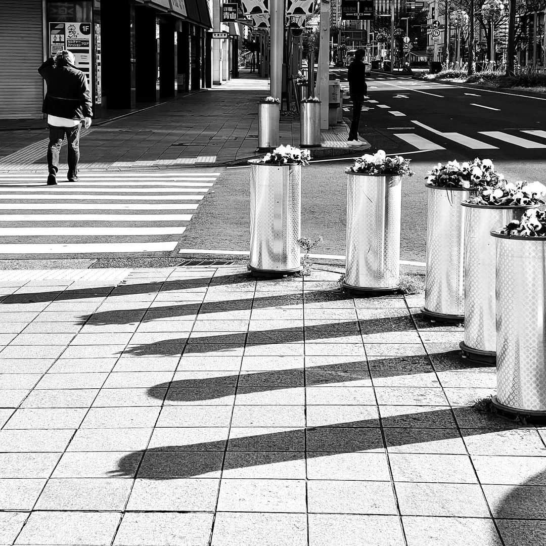 naotakeのインスタグラム：「横断歩道 - Crosswalks / iPhone 12 Pro Max & Snapseed, 20210103 . . おせちの合間にうな重。うなぎはやっぱり美味しかった。 . . #spicollective #royalsnappingartists #infamous_family #rsa_main #infinity_photo_cult #jp_gallery_member #jp_gallery_bnw #trb_bnw #wp_bnw  #bnw_life #bnwlife_member #bnw_life_shots #bnw_captures #world_bnw #top_bnw #team_jp_ #team_jp_モノクロ #ig_energy_bw #ig_nihon #streetphotographybnw #igersjp #blackandwhite #bnw #bnwphoto #monochrome #bw #bnwphotography #ShotOniPhone #shotoniphone12promax」