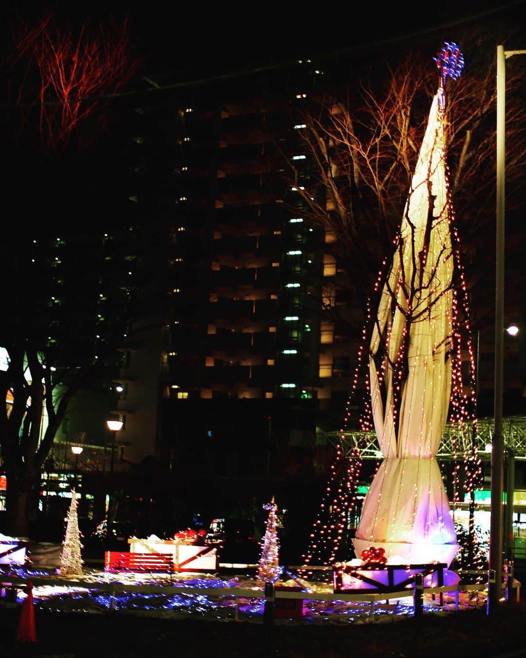 若葉紫のインスタグラム：「イルミネーション #写真好きな人と繋がりたい  #カメラ好きな人と繋がりたい」