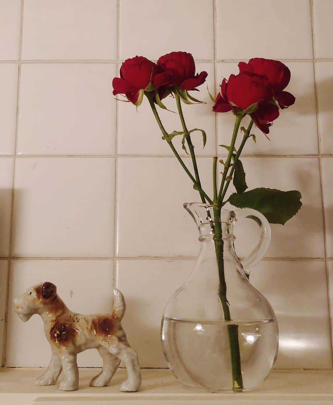 安藤百花さんのインスタグラム写真 - (安藤百花Instagram)「みんながくれたお花をいけなおして家中にしあわせ置いてる」1月2日 19時59分 - momoka_031