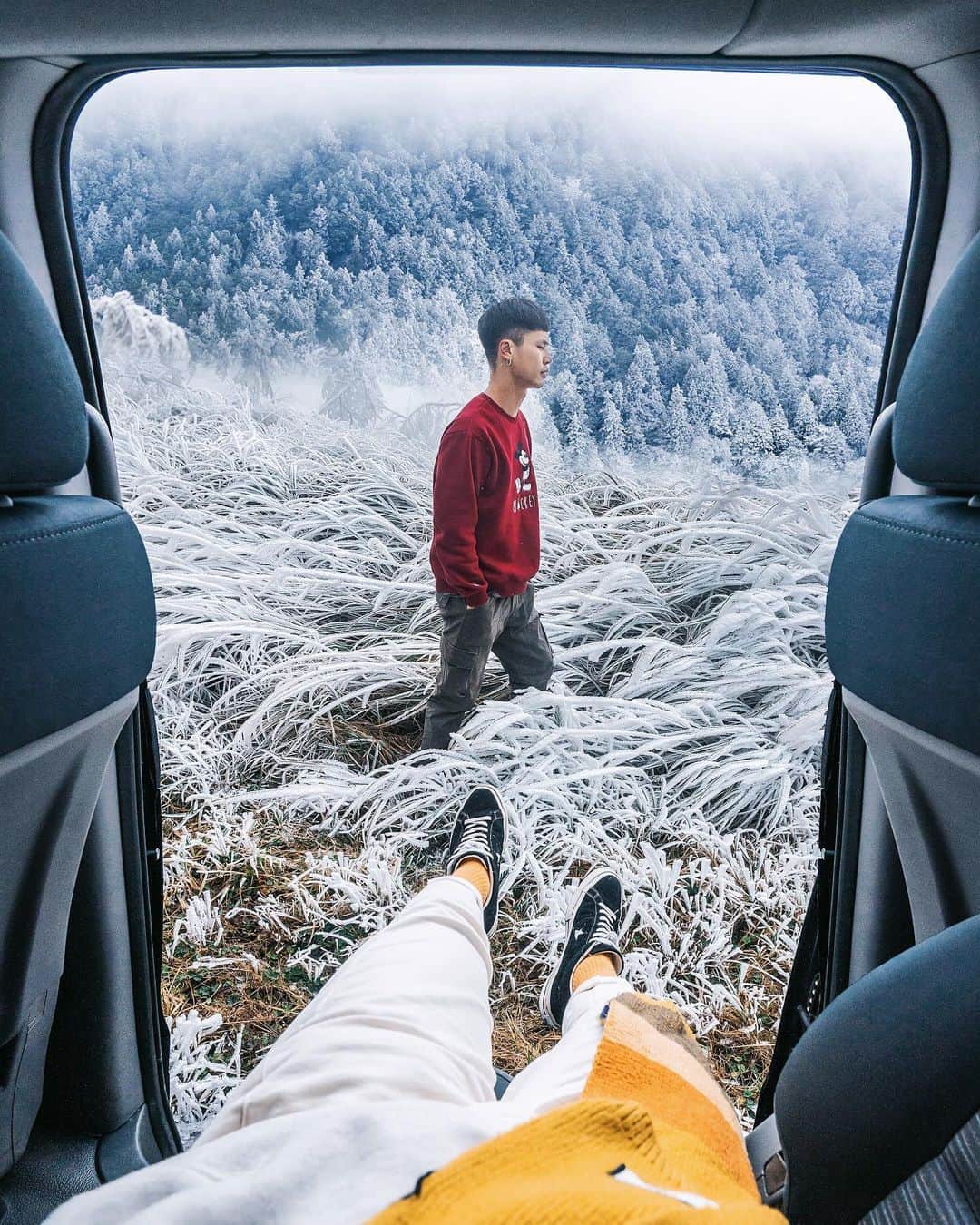 樂さんのインスタグラム写真 - (樂Instagram)「宜蘭。太平山森林遊樂區❄️❄️❄️ 哇哇哇!!一種打車門就是北國雪景的感覺😍 完成自己一個小小的夢想畫面😭 這裡是通往翠峰湖道路上，其中一個轉彎處地上的植物都變成雪白色的，還有糖霜聖誕樹🎄🎄🎄 此時腦中立刻閃過這個畫面，於是馬上開拍，起來很特別☺️ 今天氣溫開始回溫，明天是最後賞雪的機會！！ Tag你想一起看雪的人❄️」1月2日 20時00分 - ygt1016