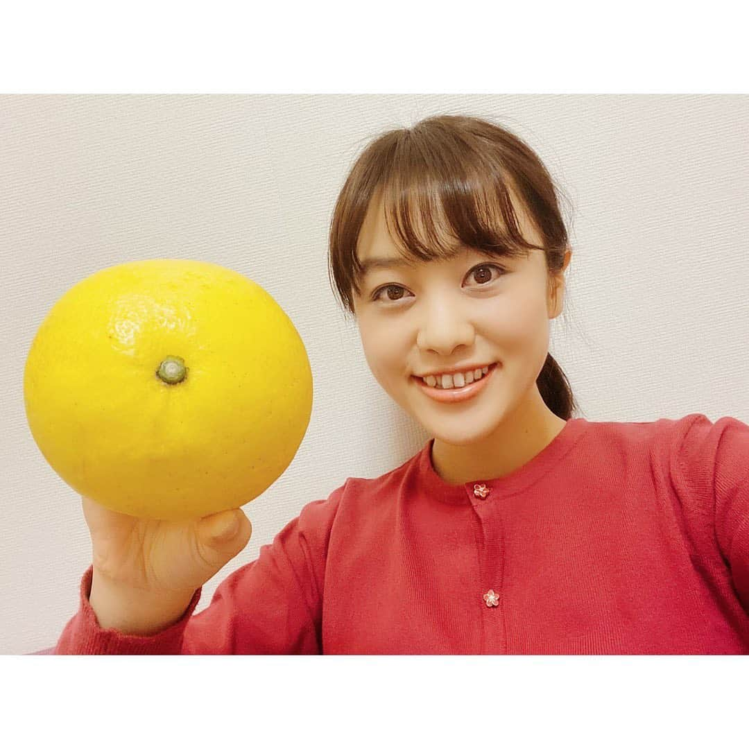 西村志野さんのインスタグラム写真 - (西村志野Instagram)「＊ 大好きな高知の文旦が届いて 毎日大事に味わっています☺︎   文旦の季節最高🥰 ＊ #高知 #土佐文旦 #高知の美味しいもの #文旦 #kochi #高知家 #高知グルメ #gourmet #food  #fruits #instafood #favorite #果物 #好きなもの #高知わた志野おすすめ」1月2日 20時02分 - shinonishimura_