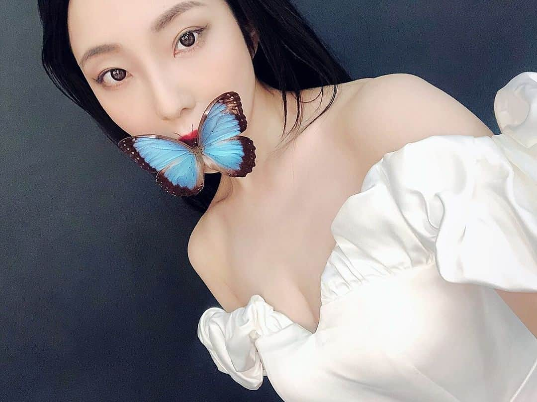 相沢梨紗さんのインスタグラム写真 - (相沢梨紗Instagram)「🦋 . . . #🦋 #butterfly #lookback2020 #weddingdress #whitedress #dressup #dress #white #photoshoot #cateye #blue」1月2日 20時34分 - risacheeese