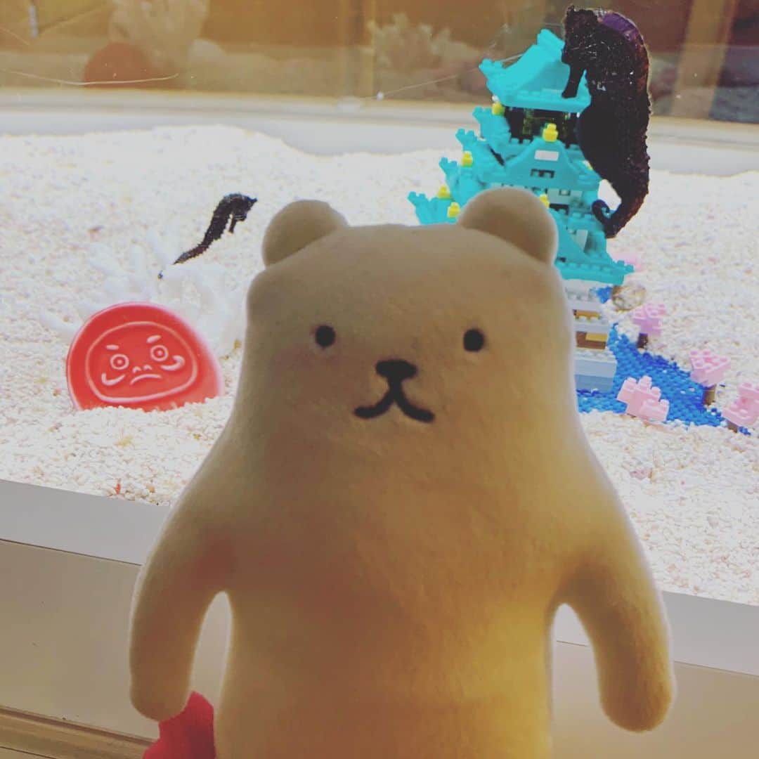 のインスタグラム：「フィルたんだよ〜💬  . みんな2021年いかがお過ごしですかー？ ぼくはゆっくりしているよー😚 . #フィルたん　#タツノオトシゴ　#2021年   @toyalekco_official  @filtan_official」