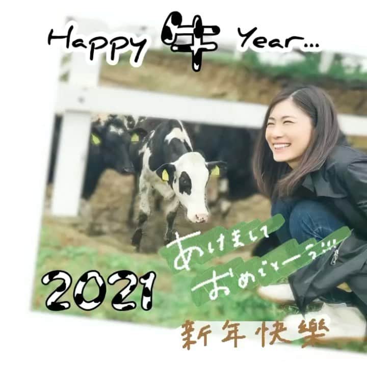 加藤侑紀のインスタグラム：「#happy牛year  #2021快樂  #ハッピー牛イヤー」