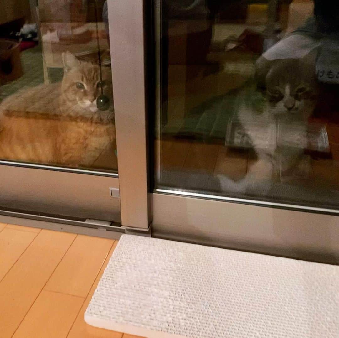 ゆたこのインスタグラム