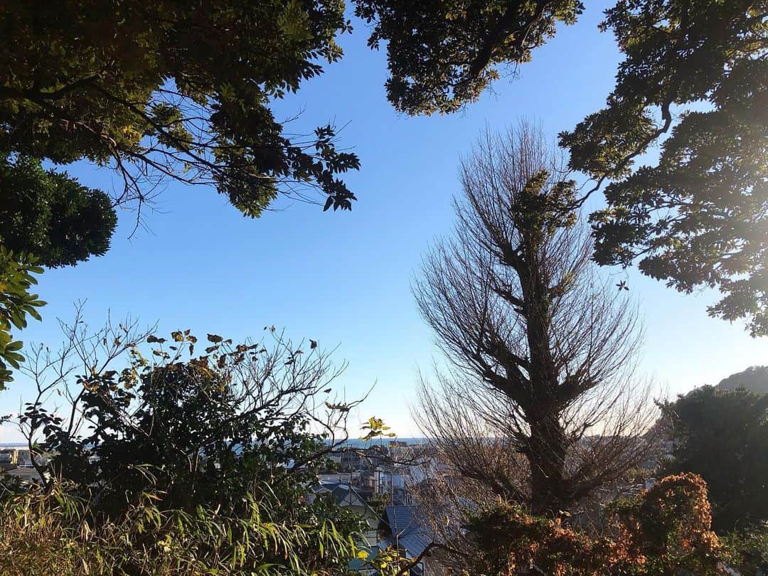 末吉里花さんのインスタグラム写真 - (末吉里花Instagram)「一番落ち着く景色。地元の神明様から見えるイチョウの木と海の景色は、私が子どもの頃から変わらない。よく神明様で幼馴染とかくれんぼをした。今日は良い日だった、実に。この美しい景色がずっとずっと未来に続きますように。ありがとう、今日も無事に過ごせました。#thankyoufortoday #初詣 #神明様 #鎌倉 #ありがとう」1月2日 21時01分 - rikasueyoshi