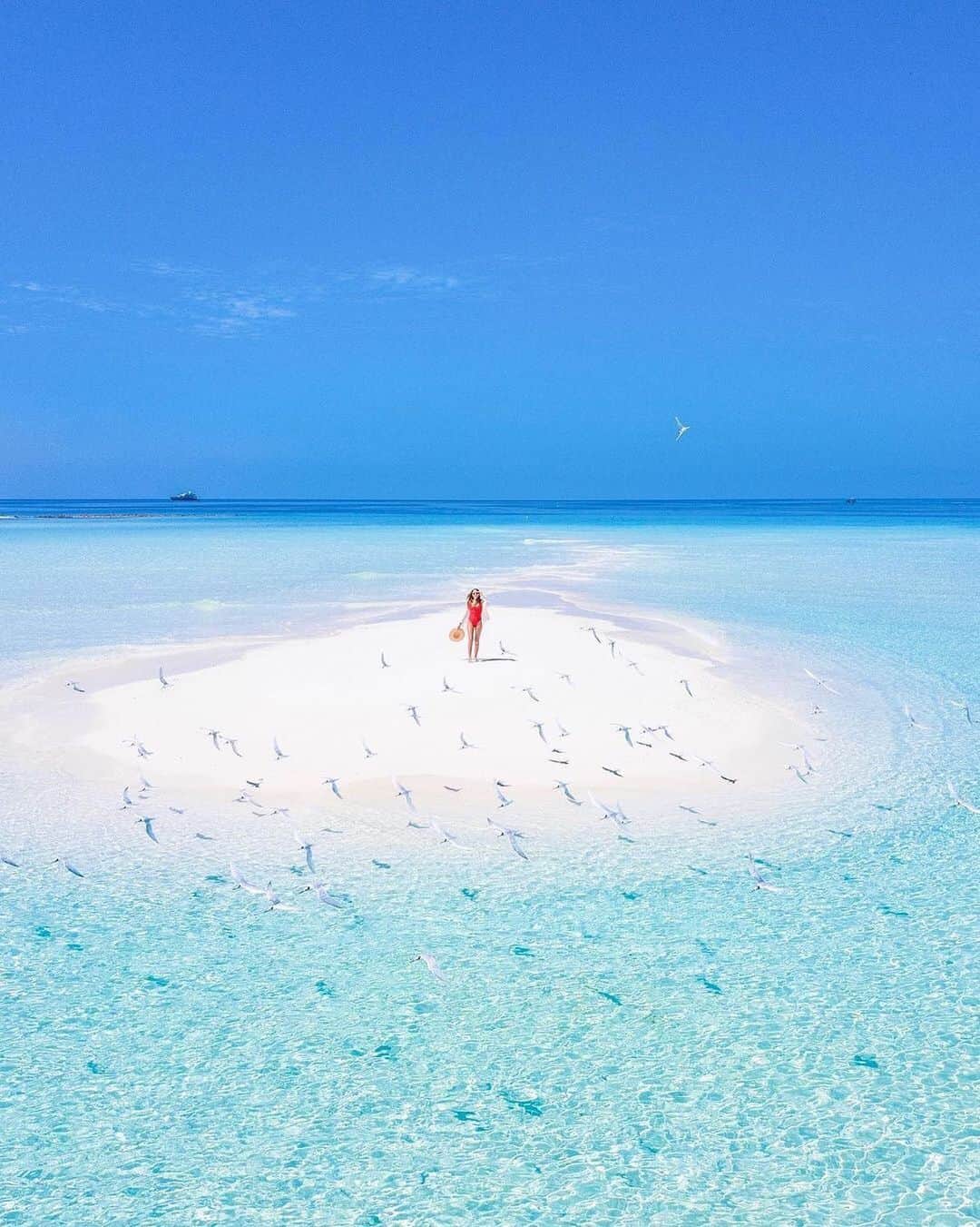 Maldivesさんのインスタグラム写真 - (MaldivesInstagram)「The Maldives Islands #Maldive   📷 @ahmed_rishaan」1月2日 21時03分 - omaldives
