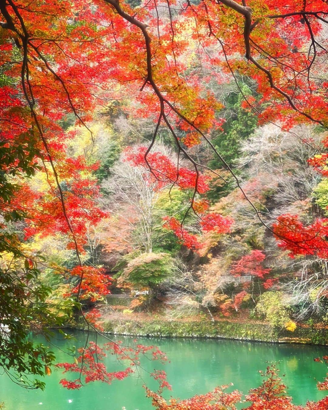 吉川友真さんのインスタグラム写真 - (吉川友真Instagram)「謹賀新年🎍  #旧年中は大変お世話になりました #本年も宜しくお願い致します  #皆様のご健康とご多幸をお祈り申し上げます #写真はまだgotoトラベル推奨されてた頃の #紅葉 #京都 #嵐山 #祐斎亭 #宝厳院 #天龍寺  #ライトアップ #綾鷹 #綾鷹ごっこ #和服  #和服男子  #着物 #最終選別帰りの炭治郎が日輪刀受け取る時の着物イメージ #鬼滅の刃 #demonslayer  #japan #kyoto #arashiyama  #yusaitei #travel」1月2日 21時03分 - yuma_yoshikawa_