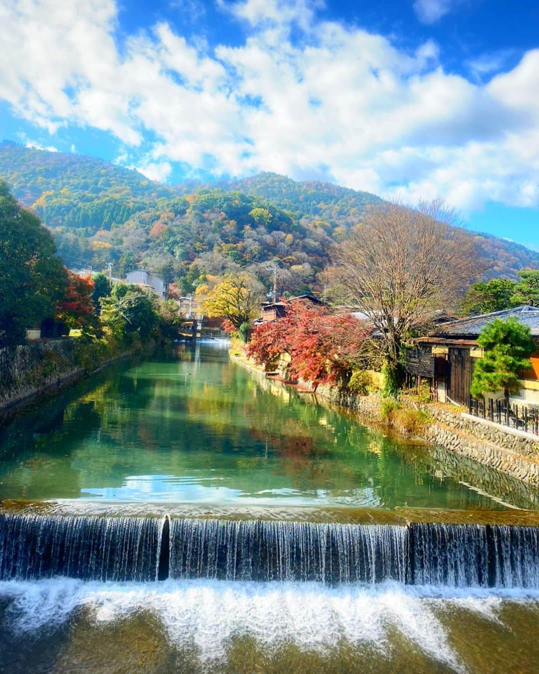 吉川友真さんのインスタグラム写真 - (吉川友真Instagram)「謹賀新年🎍  #旧年中は大変お世話になりました #本年も宜しくお願い致します  #皆様のご健康とご多幸をお祈り申し上げます #写真はまだgotoトラベル推奨されてた頃の #紅葉 #京都 #嵐山 #祐斎亭 #宝厳院 #天龍寺  #ライトアップ #綾鷹 #綾鷹ごっこ #和服  #和服男子  #着物 #最終選別帰りの炭治郎が日輪刀受け取る時の着物イメージ #鬼滅の刃 #demonslayer  #japan #kyoto #arashiyama  #yusaitei #travel」1月2日 21時03分 - yuma_yoshikawa_