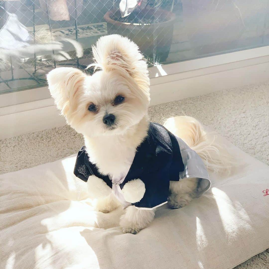 チャン・リーメイのインスタグラム