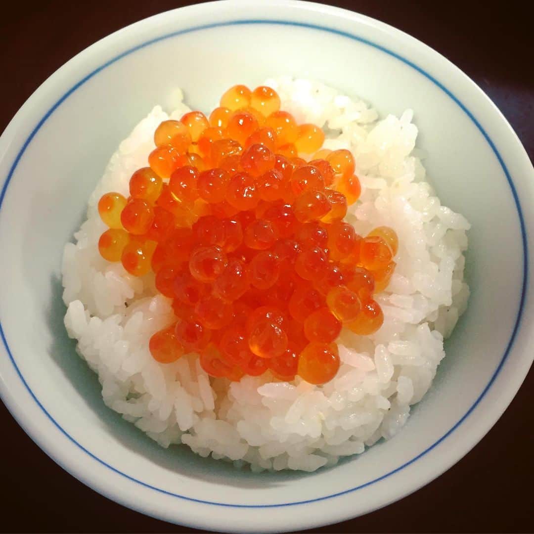 大岡源一郎のインスタグラム：「今は逃げ恥を観ています。 . #おせち最高」