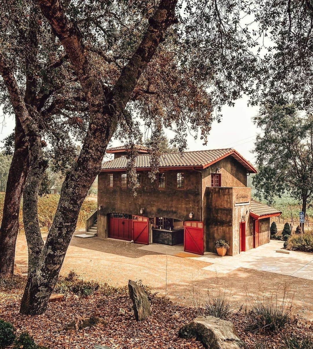Airbnbのインスタグラム：「This loft above the tasting room at Gracianna Winery surrounds you and your partner with vines and light. Complete your one-of-a-kind escape with a takeout feast from Guiso, a short drive away.  Photo: @suitechampagne」