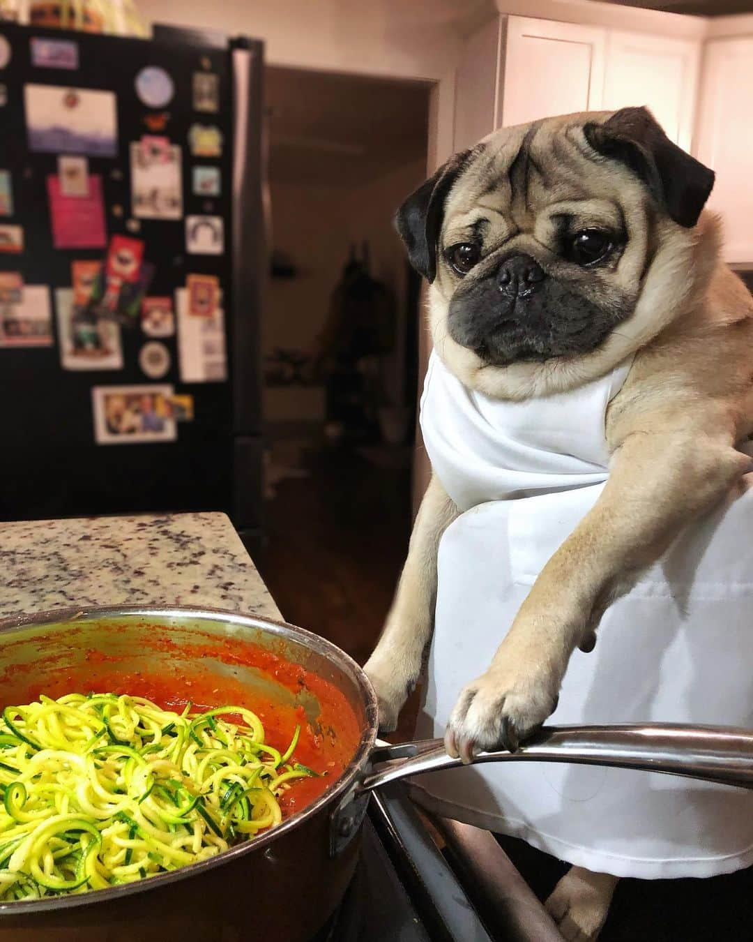 itsdougthepugさんのインスタグラム写真 - (itsdougthepugInstagram)「“I’m healthy AND delicious” -Doug」1月3日 9時07分 - itsdougthepug