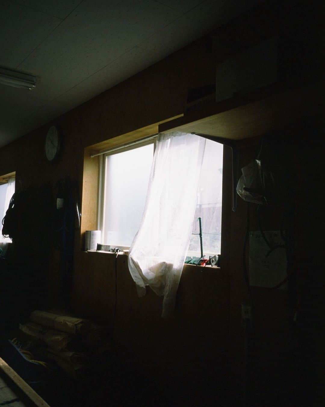 黒河内真衣子さんのインスタグラム写真 - (黒河内真衣子Instagram)「#happynewyear2021  #mamewindow」1月3日 8時02分 - mamekurogouchi