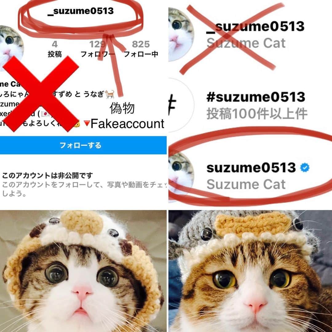 すずめくんのインスタグラム：「⚠️注意⚠️  本日、悪質ななりすましアカウントが確認されました🙇‍♂️ ご迷惑おかけしております。  通報のご協力よろしくお願いいたします🙇‍♂️ ❌ @_suzume0513  非公開のようですが、アイコンプロフィールなど全て同じです。  偽物アカウントは、 (まだしていないようですが…) おそらく「ロボロック当選しました」 などとメッセージを送り、クレジットカードなどの入力画面に誘導しようとする悪質なものです。  すずめからキャンペーンの当選メッセージなど一切行いません。 絶対に騙されないでください！！⚠️ フォローしないでください！！⚠️  問題報告していますが、おそらくなかなか削除されないかと思います🙇‍♂️  ご迷惑おかけしますが、ご協力お願いいたします🙇‍♂️🙇‍♂️🙇‍♂️  ☑️公式マークのついたこちらのアカウントが本物です🙇‍♂️  ⚠️Fake account⚠️ @_suzume0513 🙇‍♂️🙇‍♂️🙇‍♂️」