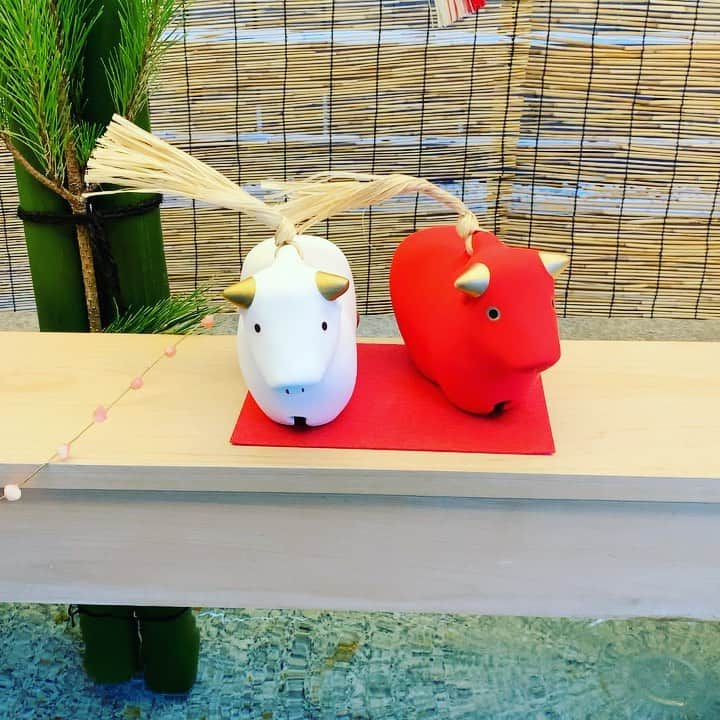 のインスタグラム：「《OhaYOKAN》  今朝の 原宿表参道は快晴なり…☀️  ちょっと 肌寒いですが  清々しい冬晴れの朝🌅  朝ラン＆ウォークは快調でした…🏃‍♂️👟  さて  本日の YOKANは  基本… のんびりしつつ…😇  なかなか進まない 断捨離＆大掃除レンジャーを…🙋‍♀️  と言いつつ  お正月2日間は ただの飲んだくれ状態w…🍶😱  今日からは しっかり予定を立てて  楽しみながらがんばりまーす✌️  みなさま  笑顔で ステキなお正月を…🎌🎍💓🎍🎌  ※今朝の  『YOKAN散歩』  映像は  赤坂 乃木神社の手水舎…⛩💧👏 お正月バージョン…🎍🎌🎍  #harajuku #omotesando #原宿 #表参道 #tokyo #japan #morning #朝 #朝ラン #ウォーキング #running #walking #OhaYOKAN #YOKAN散歩 #街角アート #streetart #newyearreport #お正月便り #shrinesandtemples #神社仏閣 #nogishrine #乃木神社 #chozuya #手水舎 #redandwhitecow #紅白の牛 #インスタ映え #instagram #笑顔でステキな1日を💓 #tokyocameraclub」