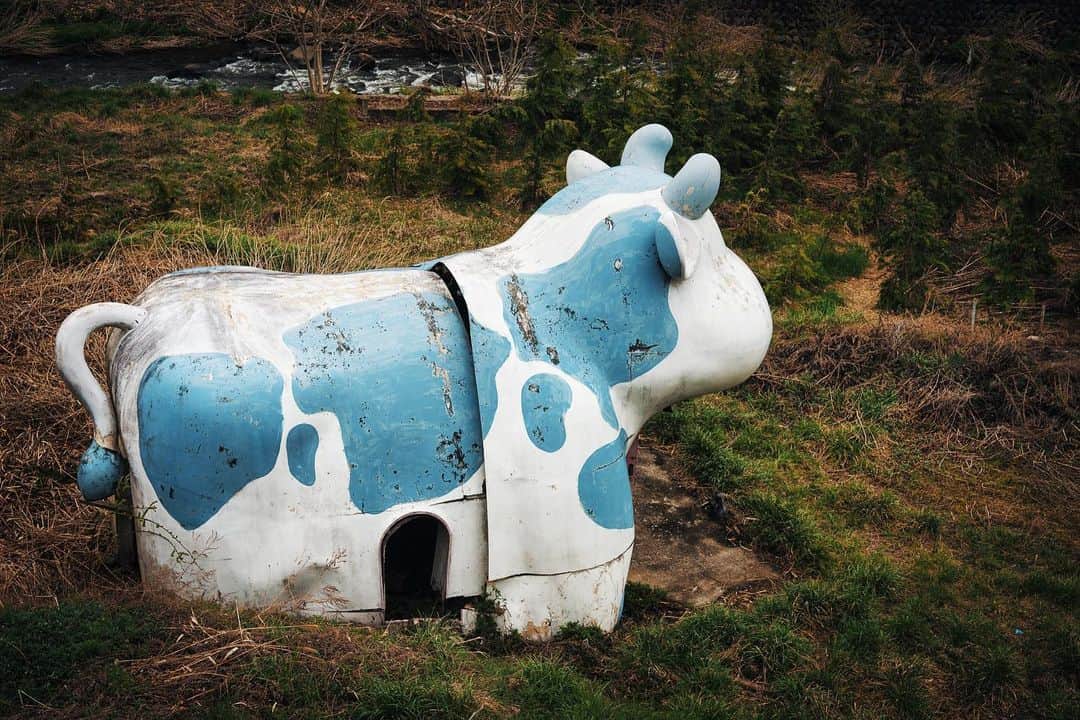 啝 （わ）のインスタグラム：「Abandoned cow 𓆲 𓆲 𓆲 #abandonedafterdark #urbex_supreme #desertedplaces #abandon_seekers_ #urbex_regards #welcometwoneverland #kings_abandoned #abandonedcentral #the_urbex_institute #renegade_abandoned #rsa_preciousjunk #glitz_n_grime #gotrespassing #savethedecay #bandorebelz #abandoned_addiction #abandoned #urbex #global_urbex #urbex_utopia #abandonig #allabandoned #urbex_kings #sombrexplore #grime_lords #urbxtreme #all_is_abandoned #discarded_butnot_forgotten #廃墟 #made_in_decay」