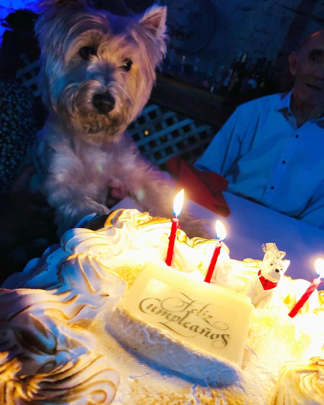 クラウディオ・リースのインスタグラム：「Mi Bebe mayor !!! Facu  9 años compartiendo su vida conmigo 🎈」