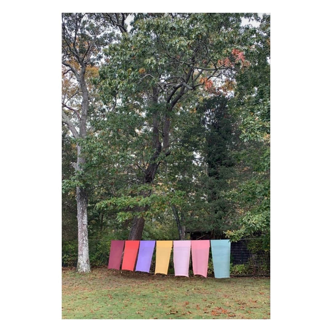 マッタのインスタグラム：「Matta Rainbows wherever we go 🥰」