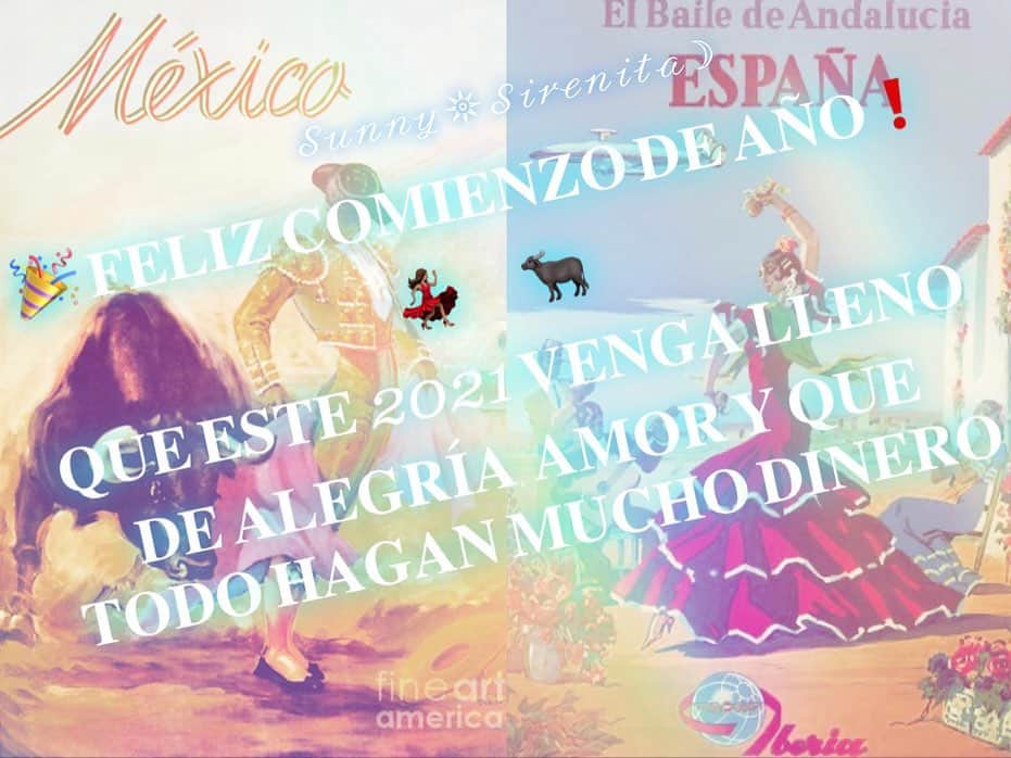 世礼奈のインスタグラム：「#FelizAñoNuevo2021 𓃒 ⋆ Hoy 2 de enero de 2021 os deseo un año pleno de felicidad, prosperidad y que vean cumplidos sus anhelos en el ámbito profesional y familiar ⋆ Con más fuerza que nunca, atreverse a vivir lo impensable y a saltar los obstáculos  ⋆ Bienvenido 2021 y que esta comunidad siga creciendo y siendo un aporte en el día a día 🙌🏽✨🥂 ⋆ #FelizAñoNuevo 🇪🇸🇲🇽 #Feliz2021 #MalipayongBagongTuig 🇵🇭 #Visaya #BonneAnnée 🇫🇷 #あけよろ2021 🇯🇵」