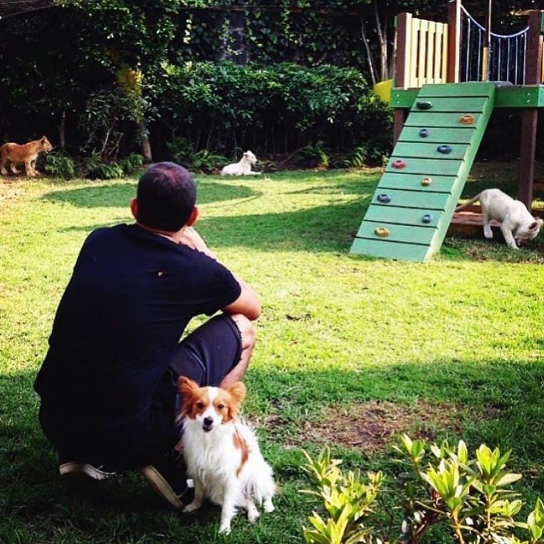 のインスタグラム：「Always by his dad’s side :) #TheMightyChiquitin」